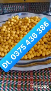 Máy vo viên trân châu bánh nhãn size 10mm DZ20 bằng điện 1 pha