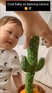 Dancing Singing Twisting Swaying Fluffy Cactus Toy Dancing And Speaking Something Funny Gift
