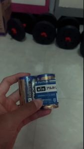 Pin Đại D  Alkaline  Energizer E95 15V vỉ 2 viên Pin  - VPP Bảo An