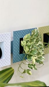 Baba Official | Baba FP-220 Frame Pot - For Indoor and Outdoor Plant | Flower pot/pasu bunga | elegant