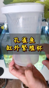 Qiuyu External Breeding Box