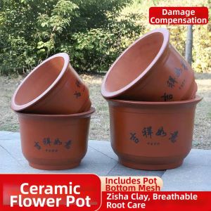 JIAXU | Clay Creative Large Flower Pot
