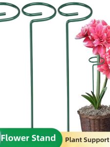 Loolecondera | Plant Support Stand Anti-toppling