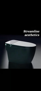 Smart Toilet pregnant Gift Water TankBidet spray Sterilization Ceramic Toiletbowl No water pressur