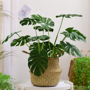 Scandinavian Single Emulational Greenery Bonsai Floristry Furnishings Large Monstera Living Room Balcony Decoration Decoration Fake Flower