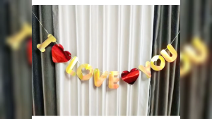 "I Love You" Banner for Valentines Day Proposal Engagement Birthday Party Decorations Vibrant Magical Happy Love Decorations