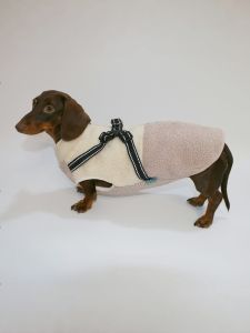 Warm Fleece Pet Vest for Dogs And Cats Reflective Leash Buckle Sausage Dog Bichon Pomeranian Winter New Style Casual Clothes