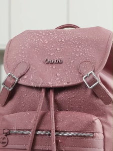 Chantria CB00951 Drawstring Flap Water-Repellent Daypack Student Backpack For Women