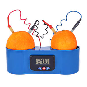 Đồng Hồ Phát Điện Bằng Trái Cây Đồ Chơi Giáo Dục Cho Trẻ Mẫu Giáo Đồ Chơi Thí Nghiệm Khoa Học Cho Trẻ Mẫu Giáo Và Mẫu Giáo