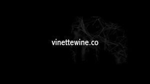 Vinette Red Wine: Merlot alc. 14.5% (CAN)250ML