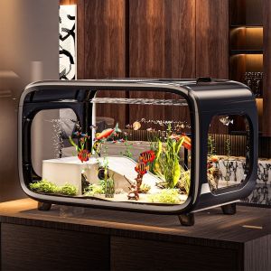 Transparent Aquatic Terrarium Tank