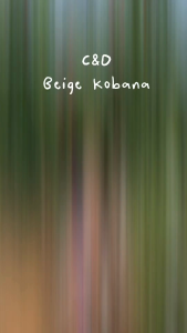 C&D Dress beige Kobana เดรส ทรงตรง แขนสั้น สีเบจ CBB5BE