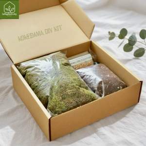 Kokedama DIY Kit - Make Your Own Moss Ball Plant | Gardening Gift | Indoor Decor | 苔藓苔玉球套装 | by Letsplant