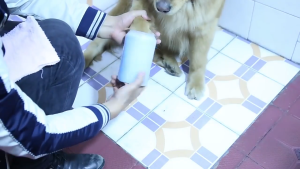 Pet Foot Cleaning Cup washer Dog paw Portable Outdoor Silicone Bristles Pet Paw Cleaner