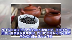 Qi Zi Bing 2019 Yunnan Puer Tea - Mild and Mellow