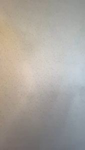 100pcs Penutup Kepala / Disposable Non-woven Cap / 21 Double Elastic Hair Net / Hair Cover / Universal size