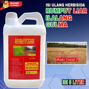 PEMBASMI RUMPUT LIAR | ILALANG | GULMA | MATI SAMPAI KE AKAR | Ramah Lingkungan | ISI 5 LITER