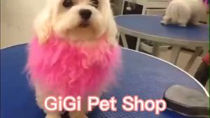 Thuốc nhuộm lông Brooklyn nhiều màu chai 80g cho thú cưng diện chơi lễ tết phụ kiện chó mèo giá rẻ - GiGi Pet Shop