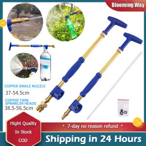 Sprayer Universal Air Pump High-pressure Double-headed Reciprocating Agricultural Garden Watering Tools Spray
