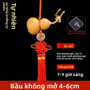 XINGYUE | Dây Chuyền Hạt Dưa Thiên Nhiên Lớn với Nút Trung Quốc và Bùa May Mắn