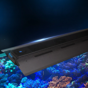 maxspect | Đèn LED Bể Cá Toàn Phổ Dawn Dusk