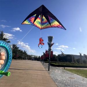 New Toys Rainbow kites toys for adults kites nylon kites weifang bird kite factory Outdoor snake kites beach kites ikitefly