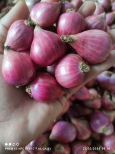 Bawang Merah Lokal Super  1kg