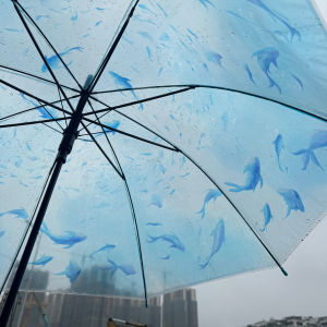 Mũi Dù Thủy Triều Trong Suốt Cho Trẻ Em Mũi Dài Dụng Cụ Chụp Ảnh Dụng Cụ Chống Nước Gây Mưa Cho Bé Gái Đi Học Mũi Dù Gấp