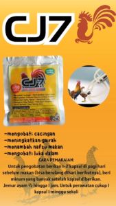 CJ7 Obat Cacing Ayam 10 Kapsul - saset ekonomis