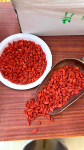Kirin NingXia Wolfberry (L) 双麟牌 宁夏正宗特级免洗大粒枸杞子250克