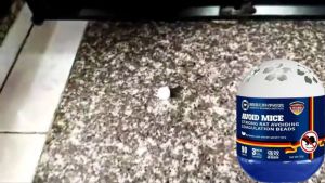 🐀วางไว้ ไม่มีหนูอีก🐀KiMi ซื้อ 1 แถม 1 เจลไล่หนู ลูกเหม็นไล่หนู เหยื่อกำจัดหนู ไล่หนู กำจัดหนู ยาไล่หนู 150g ของแท้ 100% ใช้งานง่าย ไล่หนูในรถยนต์ ไล่หนูตลอด 24 ชั่วโมง ผลิตจากธรรมชาติ ปลอดภัย💯รวดเร็วมีประสิทธิภาพ