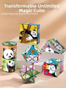BEISHU | Educational Brain Development Transforming Puzzle Cube