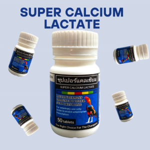 New SUPER CALCIUM LACTATE 50 TABLET (BESAR) - Kalsium Tulang Vitamin Penguat Tulang Ayam