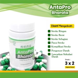 Obat Stroke Stroke Ringan Pasca Stroke Paling Ampuh - Antapro Bharata Garansi 100% Original