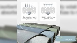 Soft Floor Mats Home Non-slip Super Absorbent Floor Mat Quick Drying Bathroom Carpet Modern Simple