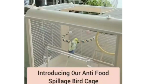 Bird Cage. Front Acrylic Panel. Premium Bird Cage. Lowest PRICE in Lazada.