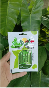 Benih Oyong Azura F1 – Cap Panah Merah – Hibrida F1 10 biji – Panen Cepat & Tahan Penyakit
