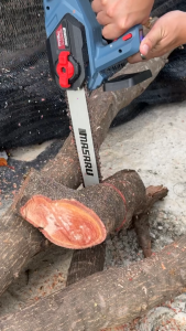 MASARU รุ่น SCS-420 เลื่อยโซ่ไร้สาย 11.5 นิ้ว 20V เลื่อยตัดไม้แบตเตอรี่ ใช้งานสวน ตัดกิ่ง ตัดไม้ขนาดใหญ่ เลื่อยโซ่ไร้สาย มอเตอร์บัสเลส ประกัน 7 เดือน