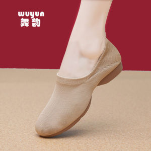 Low Heel Dance Shoes Soft Bottom Practice Shoes for Women Square Dancing Shoes Teacher Dancing Shoes Classical National Dance Shoes