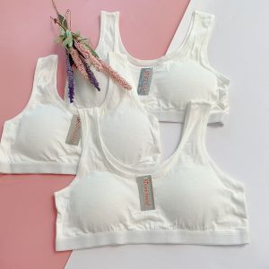 Áo lá cho học sinh Sisterhood Thái Lan 653  vải mềm  áo ngực bra Free Size (34 36)