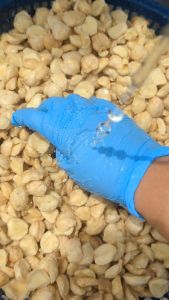 Kukui Oil & Minyak Kemiri Murni Penumbuh Rambut BPOM - Sira Botanika