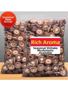Nutritious Selected Non-Premium Dried Mushroom