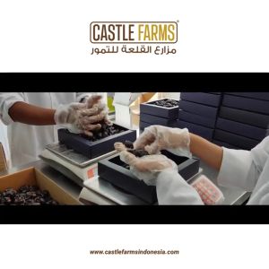 Castle Farms - Kurma Ajwa Almadina Premium Organic 1kg