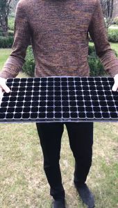 10 Pieces Seedling Tray 128 Holes Standard  Germination Plant Flower Pot  For Seeds Growing