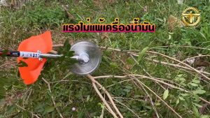 เครื่องตัดหญ้า ชาร์จแบตได้ สีส้ม 600 วัตต์ 24v 9000 รอบ/นาที 🛒 มีหลายตัวเลือก🛒