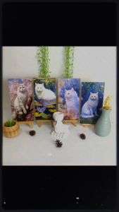 HIASAN DINDING LUKISAN ANIMAL KUCING PUTIH WALLDECOR 15X30 NUANSA ABSTRAK OIL PAINTING WHITE CAT MINIMALIS HIASAN DAN PAJANGAN RUMAH  AESTHETIC KEKINIAN