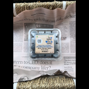 [Chỉ Giao HCM] Việt Quất - Trọng lượng 125gr