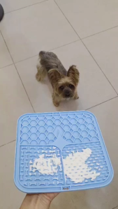 PETCARESMY Feeding Food Bowl Silicone Dog Lick Food Mat Dogs Cats Slow Food Bowls With Suction Cup Dog Slow Feeders