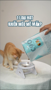 Pet Lovers - Hạt mèo Churro PetQ C90 50g