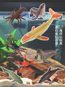 Model หอยแมลงภู่ปลอม ปลาดิบ ปลาฉลาม ตกแต่งสวนขนาดเล็ก ตกแต่งภาพถ่าย ของเล่นสำหรับเด็ก ของเล่นจำลอง ของเล่นสัตว์